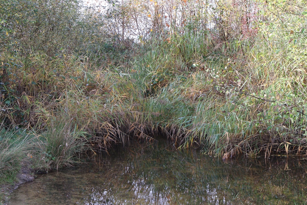 CEP centrale encaissement : gestion efficace de votre épargne