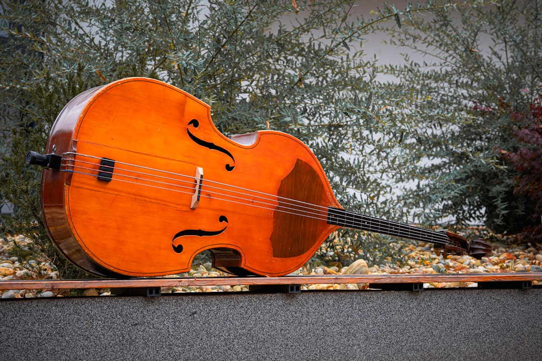 Protection et couverture assurance pour instruments de musique